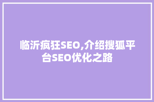 临沂疯狂SEO,介绍搜狐平台SEO优化之路