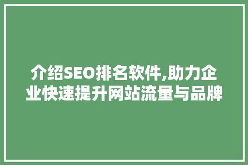 介绍SEO排名软件,助力企业快速提升网站流量与品牌影响力