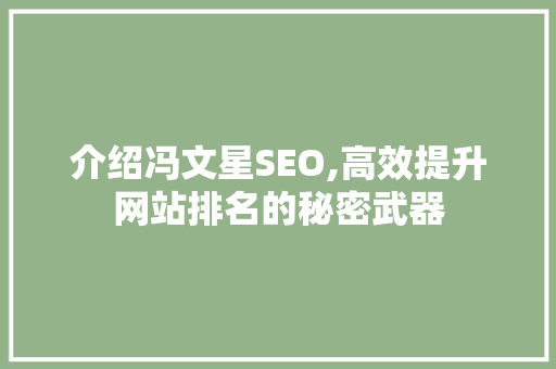 介绍冯文星SEO,高效提升网站排名的秘密武器