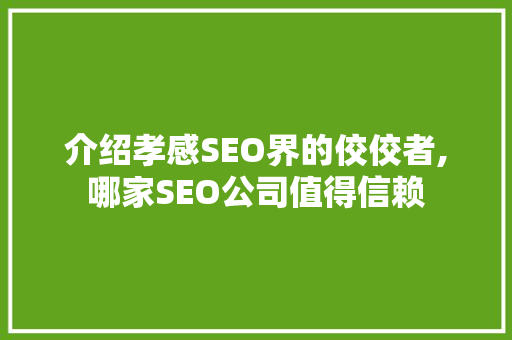 介绍孝感SEO界的佼佼者,哪家SEO公司值得信赖