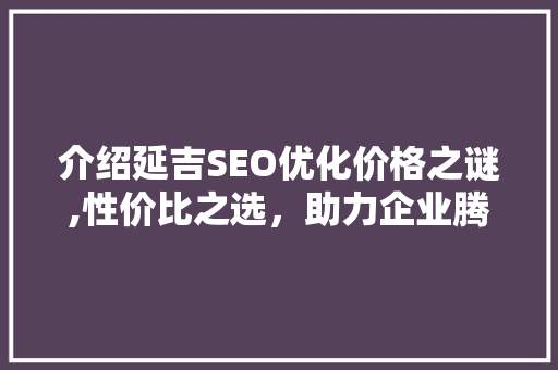 介绍延吉SEO优化价格之谜,性价比之选，助力企业腾飞