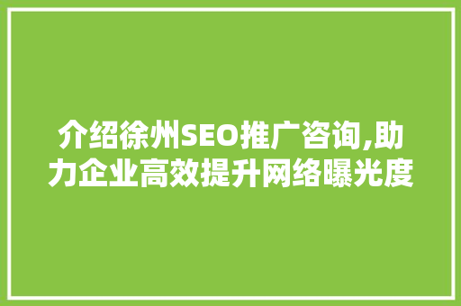 介绍徐州SEO推广咨询,助力企业高效提升网络曝光度