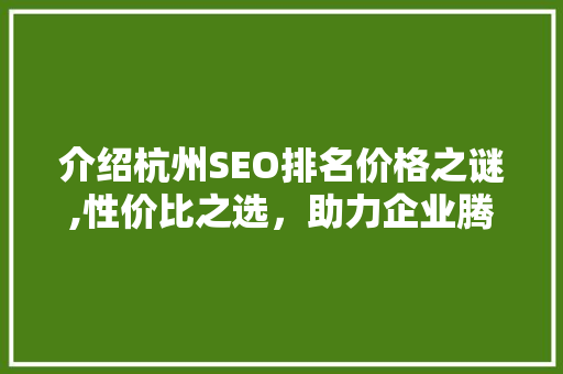介绍杭州SEO排名价格之谜,性价比之选，助力企业腾飞