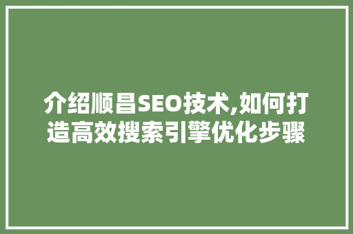 介绍顺昌SEO技术,如何打造高效搜索引擎优化步骤