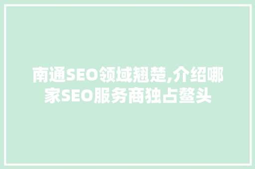 南通SEO领域翘楚,介绍哪家SEO服务商独占鳌头