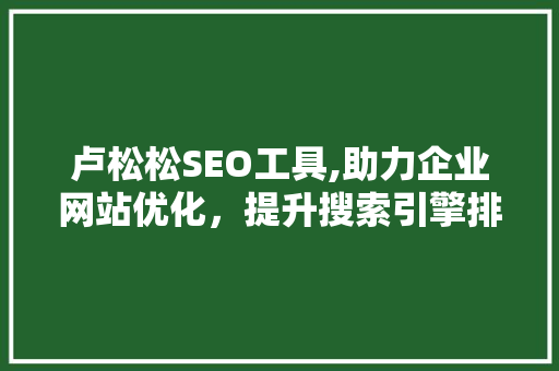 卢松松SEO工具,助力企业网站优化，提升搜索引擎排名