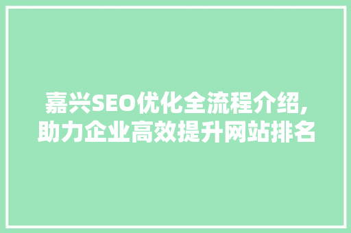 嘉兴SEO优化全流程介绍,助力企业高效提升网站排名