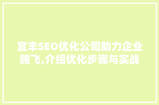 宜丰SEO优化公司助力企业腾飞,介绍优化步骤与实战方法