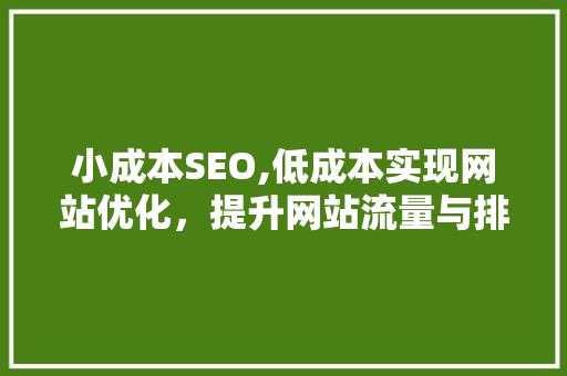 小成本SEO,低成本实现网站优化，提升网站流量与排名
