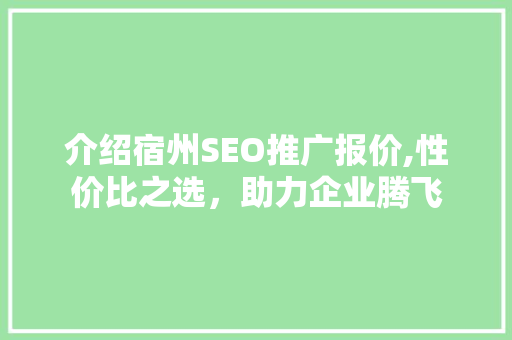 介绍宿州SEO推广报价,性价比之选，助力企业腾飞
