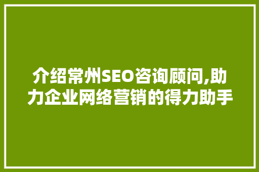 介绍常州SEO咨询顾问,助力企业网络营销的得力助手