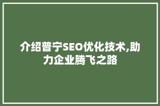 介绍普宁SEO优化技术,助力企业腾飞之路