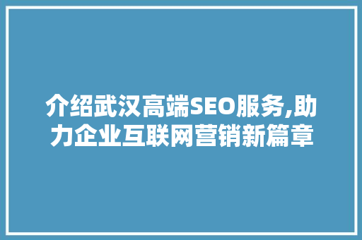 介绍武汉高端SEO服务,助力企业互联网营销新篇章