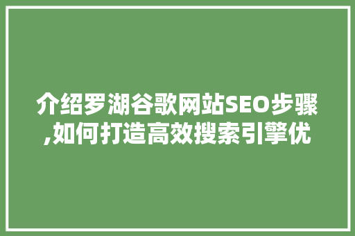 介绍罗湖谷歌网站SEO步骤,如何打造高效搜索引擎优化