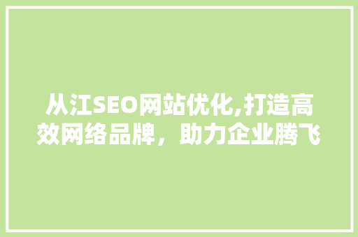 从江SEO网站优化,打造高效网络品牌，助力企业腾飞