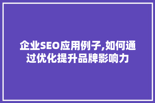 企业SEO应用例子,如何通过优化提升品牌影响力
