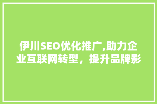 伊川SEO优化推广,助力企业互联网转型，提升品牌影响力