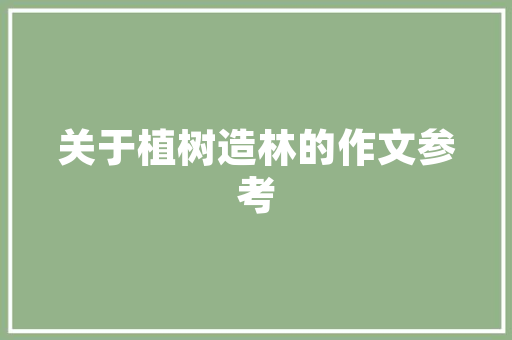 C语言编程从代码转换到艺术之旅