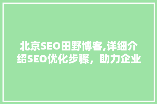 北京SEO田野博客,详细介绍SEO优化步骤，助力企业提升网络影响力
