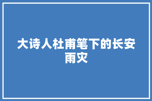 吐鲁番SEO网络推广,助力企业在线腾飞，抢占市场先机