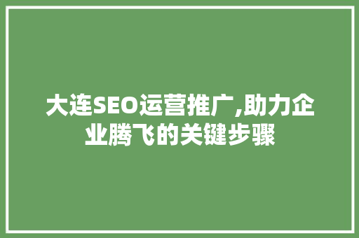 大连SEO运营推广,助力企业腾飞的关键步骤
