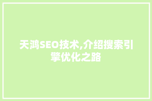 天鸿SEO技术,介绍搜索引擎优化之路