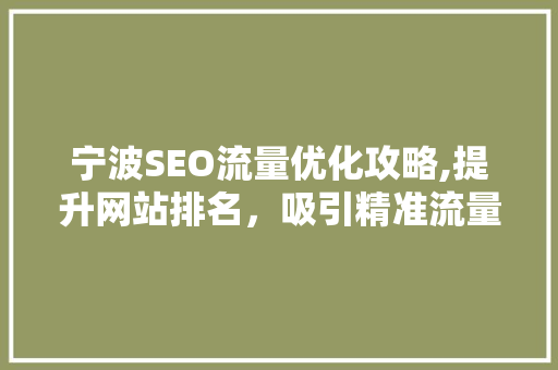宁波SEO流量优化攻略,提升网站排名，吸引精准流量