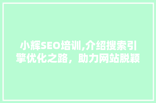 小辉SEO培训,介绍搜索引擎优化之路，助力网站脱颖而出