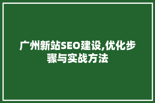 广州新站SEO建设,优化步骤与实战方法