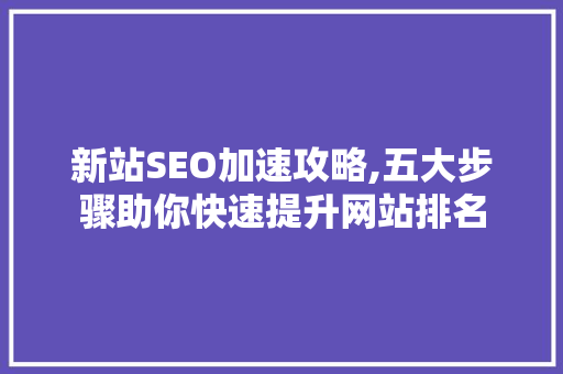 新站SEO加速攻略,五大步骤助你快速提升网站排名  第1张