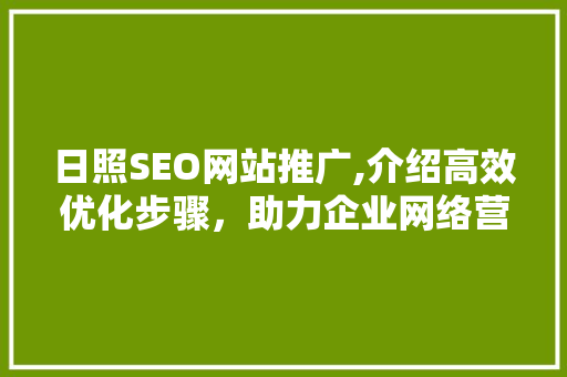 日照SEO网站推广,介绍高效优化步骤，助力企业网络营销腾飞