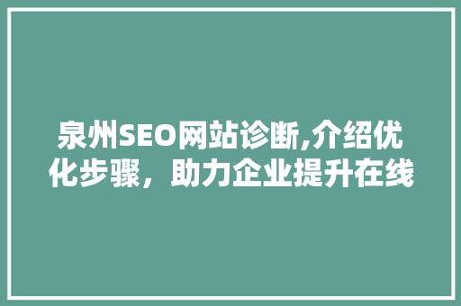 泉州SEO网站诊断,介绍优化步骤，助力企业提升在线竞争力