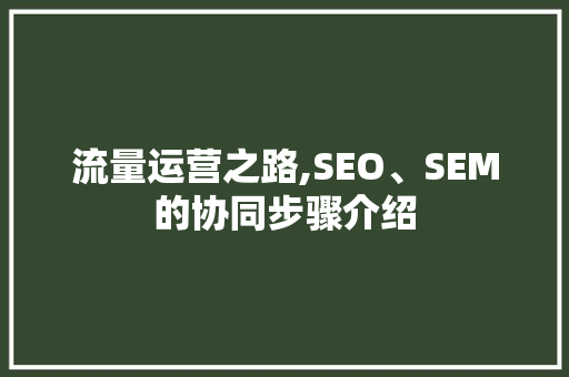 流量运营之路,SEO、SEM的协同步骤介绍