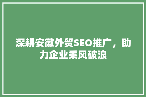 深耕安徽外贸SEO推广，助力企业乘风破浪