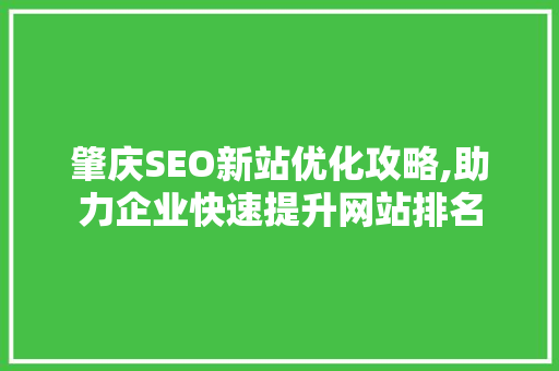 肇庆SEO新站优化攻略,助力企业快速提升网站排名