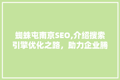 蜘蛛屯南京SEO,介绍搜索引擎优化之路，助力企业腾飞