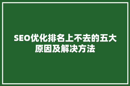 SEO优化排名上不去的五大原因及解决方法