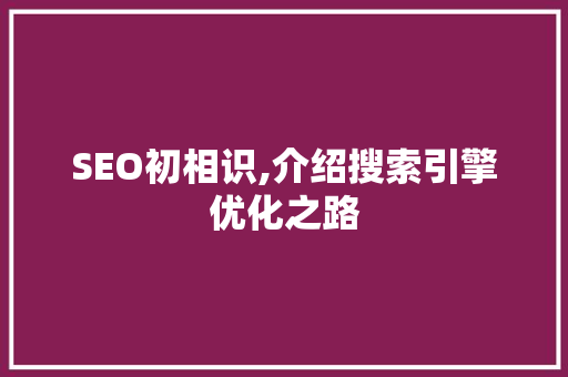 SEO初相识,介绍搜索引擎优化之路