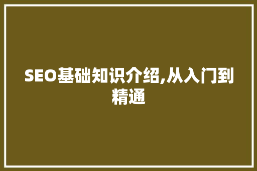 SEO基础知识介绍,从入门到精通
