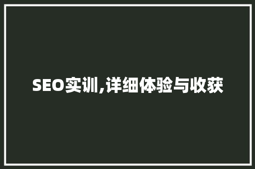 SEO实训,详细体验与收获