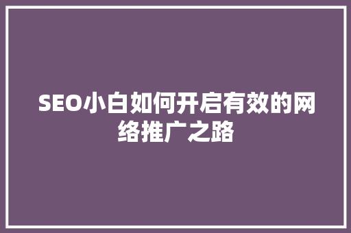 SEO小白如何开启有效的网络推广之路