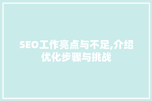 SEO工作亮点与不足,介绍优化步骤与挑战