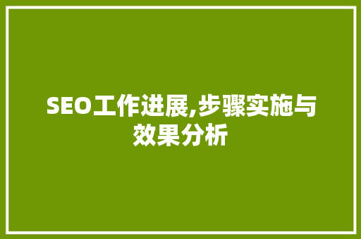 SEO工作进展,步骤实施与效果分析
