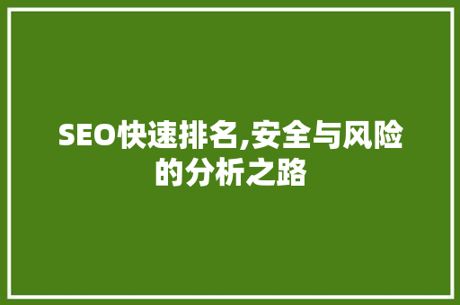 SEO快速排名,安全与风险的分析之路
