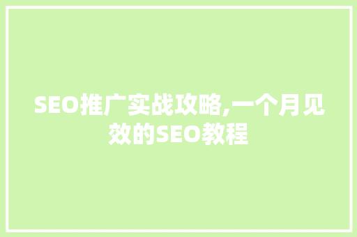 SEO推广实战攻略,一个月见效的SEO教程