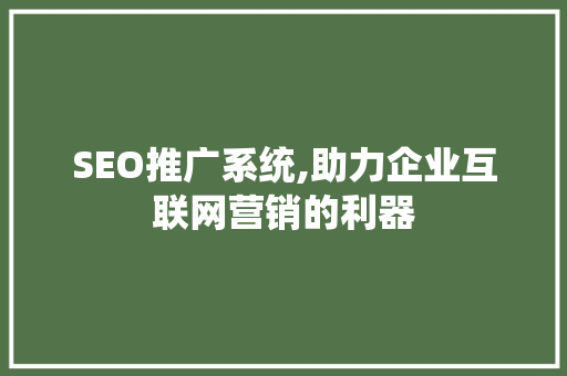 SEO推广系统,助力企业互联网营销的利器