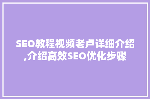 SEO教程视频老卢详细介绍,介绍高效SEO优化步骤