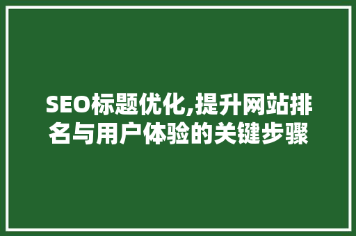 SEO标题优化,提升网站排名与用户体验的关键步骤