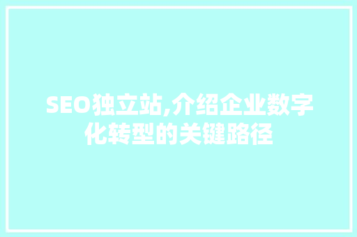 SEO独立站,介绍企业数字化转型的关键路径