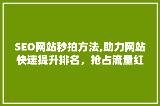 SEO网站秒拍方法,助力网站快速提升排名，抢占流量红利